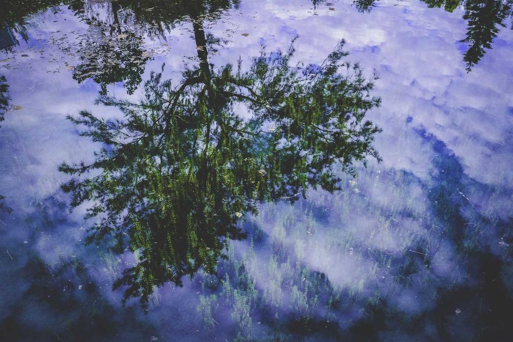 Accusantium quis id consequatur placeat consequuntur assumenda deleniti ea soluta